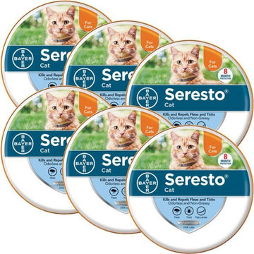 6 Pack Seresto 8 Month Flea and Tick Prevention Collar for Cats