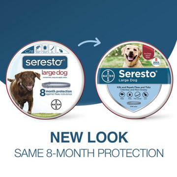 Seresto 8 Month Flea and Tick Prevention Collar for Large Dogs, above 18 lbs