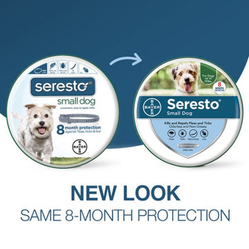 Seresto 8 Month Flea and Tick Prevention Collar for Small Dogs, up to 18 lbs